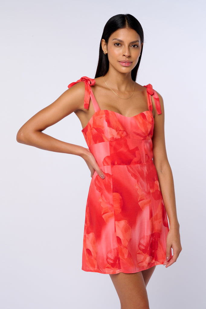 Vestido Mini Zya